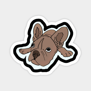 Lazy french bulldog lying on the floor Magnet