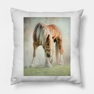 Gypsy in the morning mist Pillow