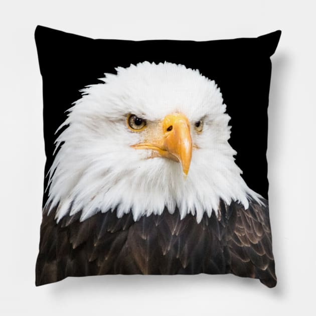 Bald eagle Pillow by Naturelovers