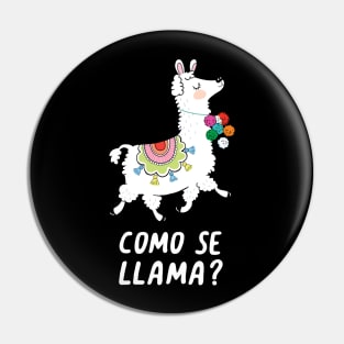 Como Se Llama Pin