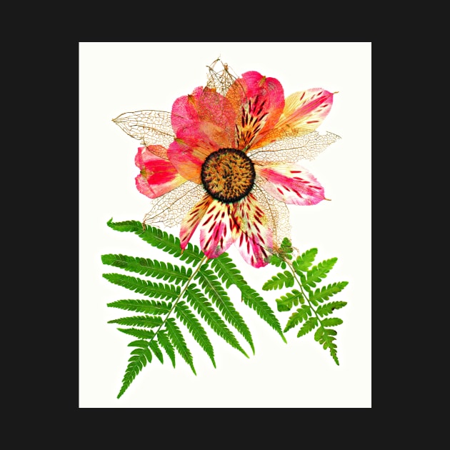 Pink Alstroemeria Pressed Flower Art Print Dried Flowers Poster Gift For Women by ZiggyPrint