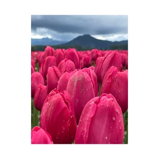 Mt Vernon, Washington Tulips and Mountain T-Shirt