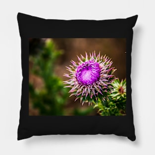 Colorful Prickly Weed Pillow