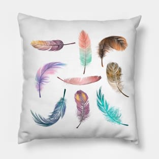 Fabulous Feathers Pillow