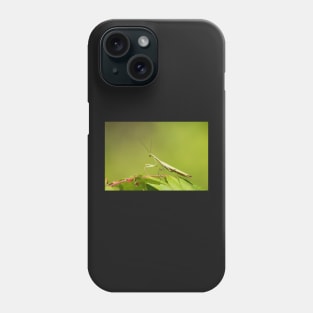 Mantis Phone Case