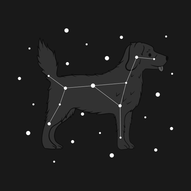 Newfoundland Dog Constellation by blacklines