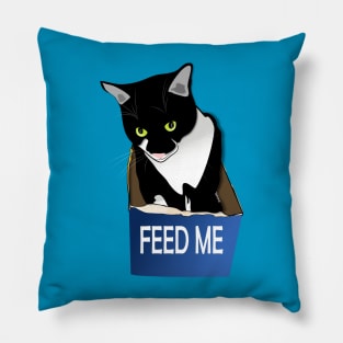 Cute Tuxedo Cat Hungry Cat in a Box  Copyright by TeAnne Pillow