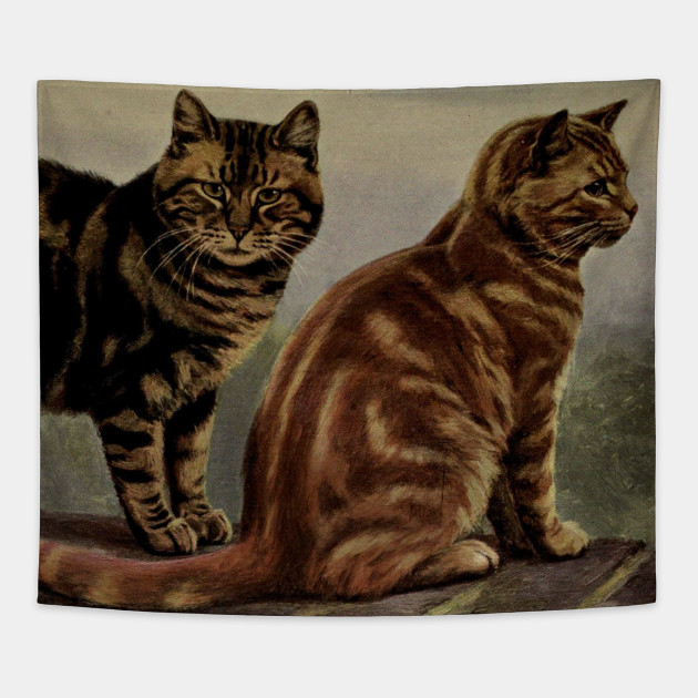 Vintage Short Haired Tabby Cat Painting 1902 Tabby Cat Tapestry Teepublic