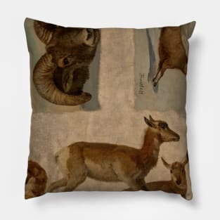 Study of Bighorn Sheep and Antelope by Albert Bierstadt Pillow