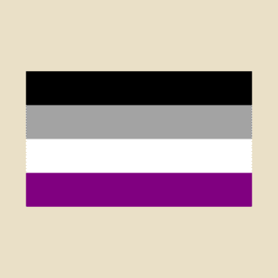 Asexual Pride Flag T-Shirt