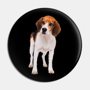 Beagle Dog, Love Beagle Dogs Pin