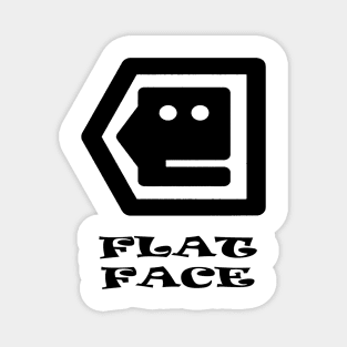 Flat Face Magnet