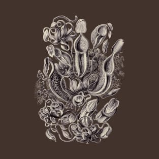 Ernst Haeckel Pitcher Plant Aubergine T-Shirt