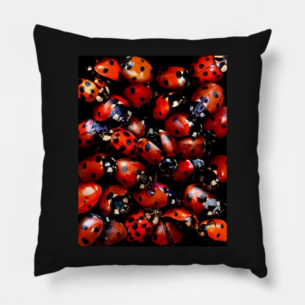 Ladybugs Pillow by MaxencePierrard