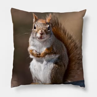 Red Squirrel Pillow