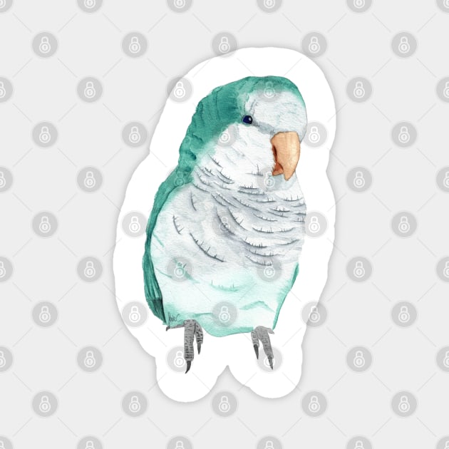 Conure veuve bleu perruche moine souris quaker aquarelle Magnet by Oranjade0122