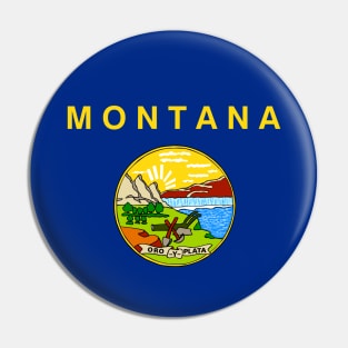 Montana State Flag Pin