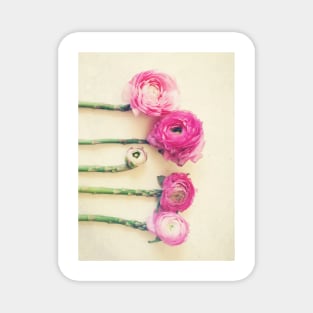 Asparagus and Pink Flowers Magnet