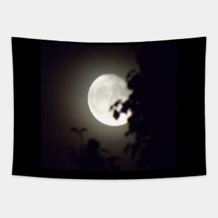 Moonlight Fun Tapestry