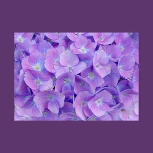 Hydrangea lilac T-Shirt