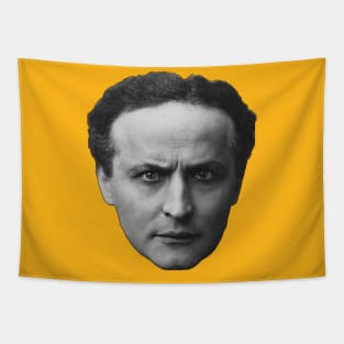 Harry Houdini Tapestry