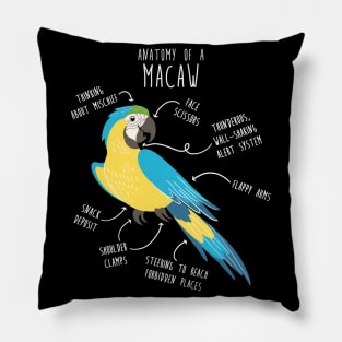 Blue and Gold Macaw Parrot Anatomy Pillow