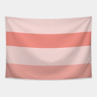 A mild concoction of Isabelline, Pale Pink, Pale Salmon and Vivid Tangerine stripes. Tapestry