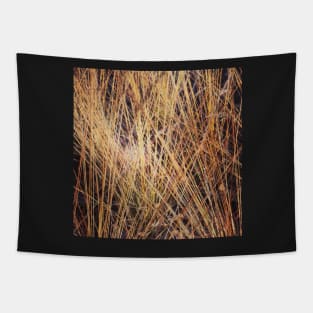 Autumnal grasses Tapestry