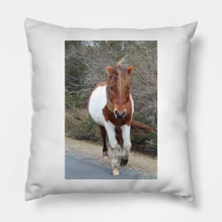 Assateague Pony - Virginia Pillow