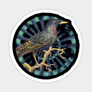 Common Starling Retro Circle Wheel Design Magnet