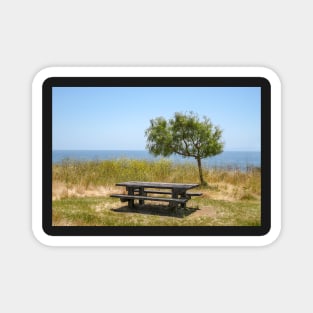 Picnic Table with a View Magnet