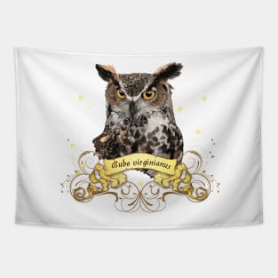 American owl Tapestry