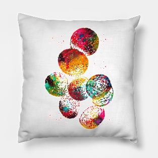 Staphylococcus aureus Pillow