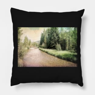 Colorado River photograph Pillow