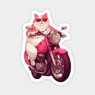 Cool cat riding motorbike Magnet