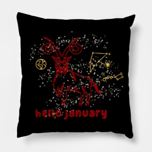 Character Design - Hello January! Pillow