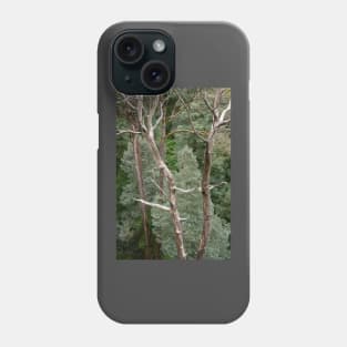 Bare tree trunks with blue, green conifer trees. Phone Case