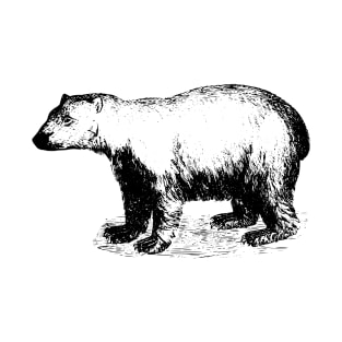 Polar Bear T-Shirt