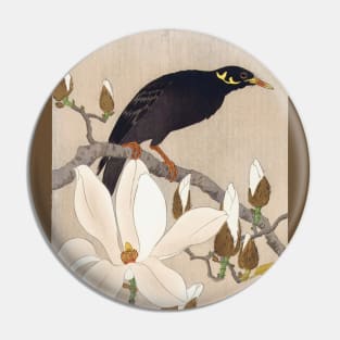 Mynah on Magnolia Branch Pin