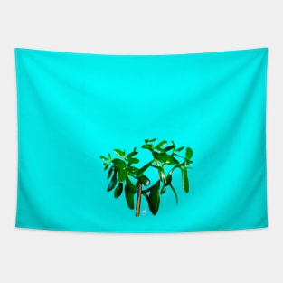 Good Luck Succulent Tree on Sky Blue Tapestry