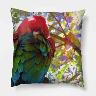 Scarlet Macaw V2 Pillow