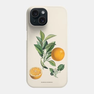 Orange Antique Botanical Illustration Phone Case