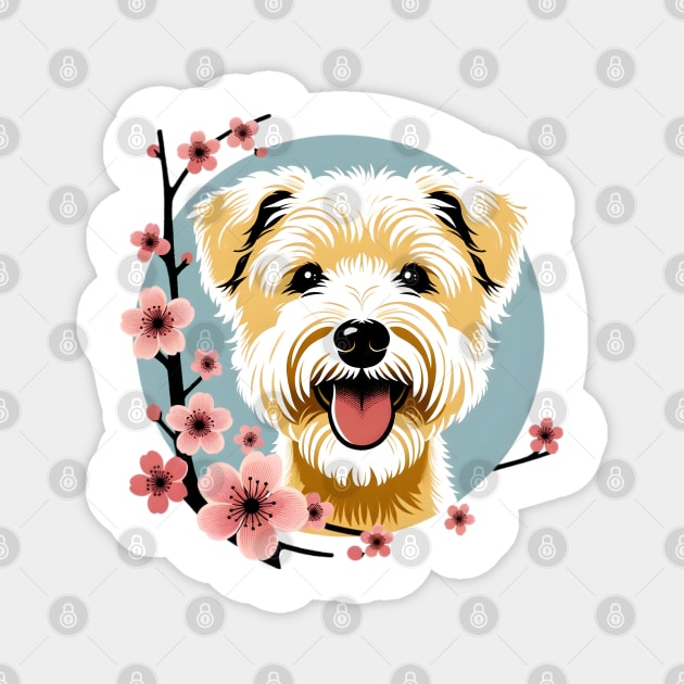 Dandie Dinmont Terrier Revels in Spring Cherry Blossoms Magnet by ArtRUs