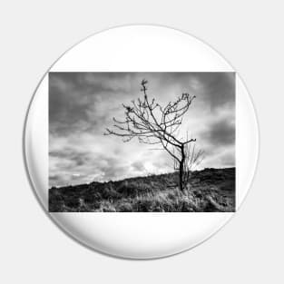 Lonely Tree Pin