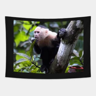 White faced monkey, la Gloria de Puriscal Tapestry