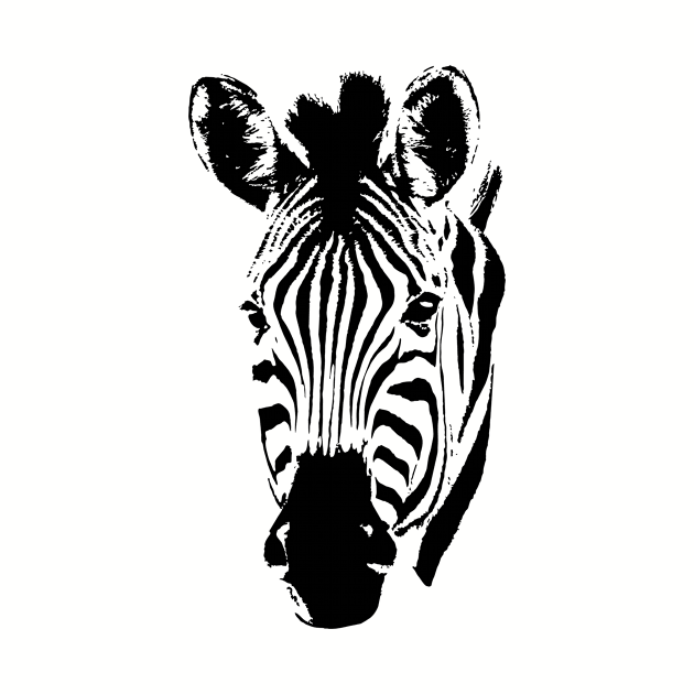 Zebra Close-up in Graphic Pen and Ink Style by scotch