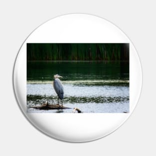 Heron with Ruffled Feathers Pin