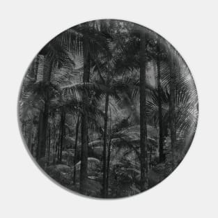 Bangalow Palms in the rainforest Pin