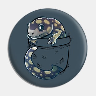 Pocket Cute Tiger Salamander Pin