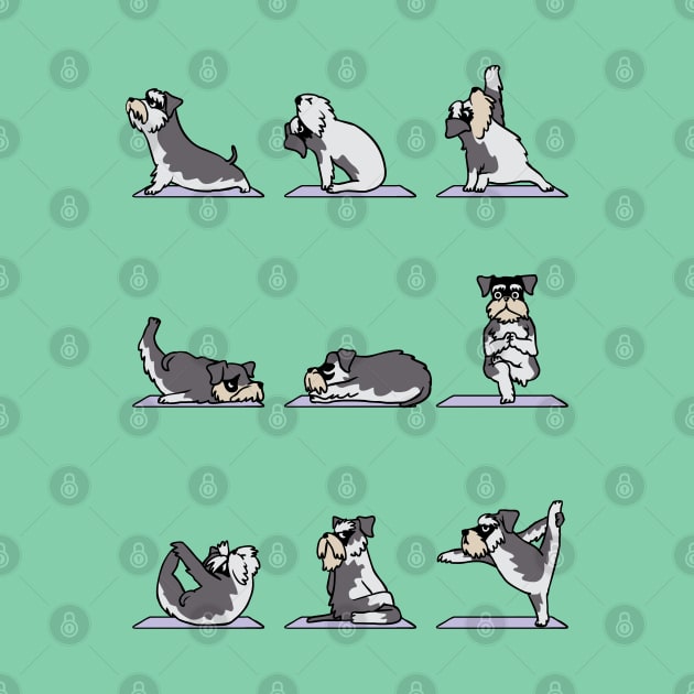 Miniature Schnauzer yoga by huebucket